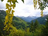 PASSO DI TARTANO E LAGHI DI PORCILE 21 giugno 2009 - FOTOGALLERY